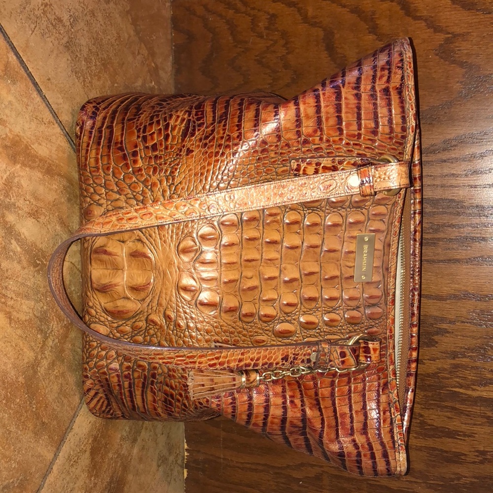 Brahmin Purse